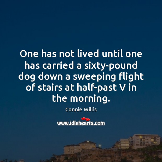 One has not lived until one has carried a sixty-pound dog down Connie Willis Picture Quote