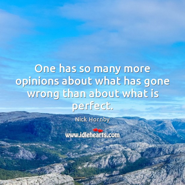 One has so many more opinions about what has gone wrong than about what is perfect. Nick Hornby Picture Quote