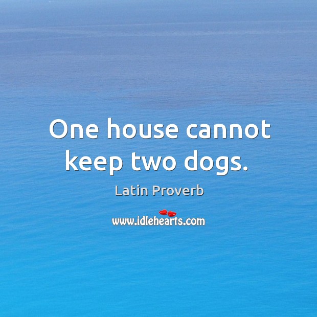 One house cannot keep two dogs. Image