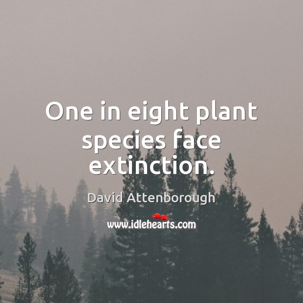 One in eight plant species face extinction. David Attenborough Picture Quote