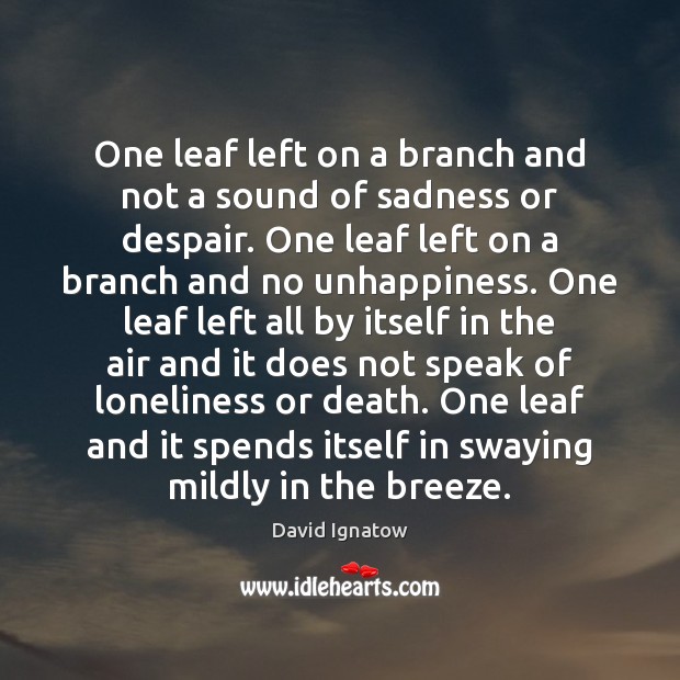 One leaf left on a branch and not a sound of sadness David Ignatow Picture Quote