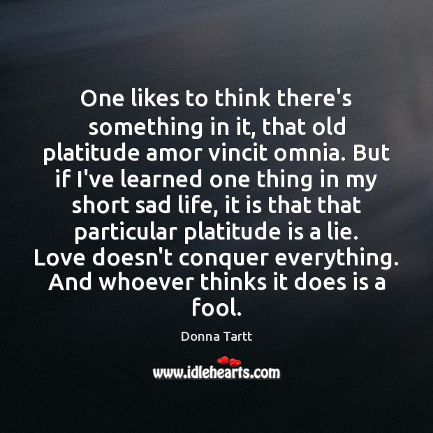 One likes to think there’s something in it, that old platitude amor Donna Tartt Picture Quote