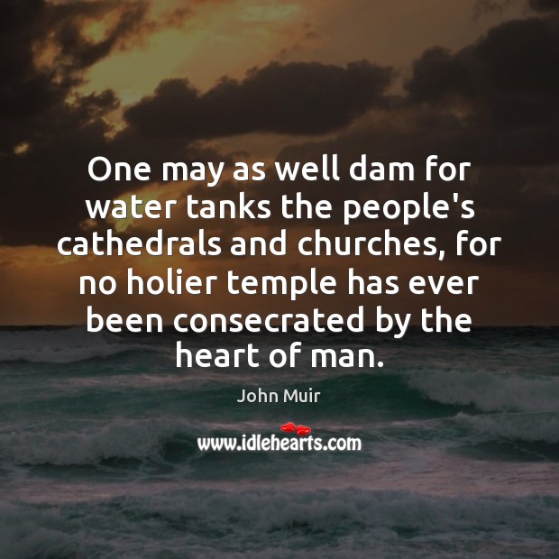 One may as well dam for water tanks the people’s cathedrals and John Muir Picture Quote