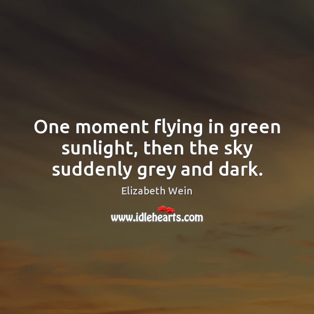 One moment flying in green sunlight, then the sky suddenly grey and dark. Elizabeth Wein Picture Quote