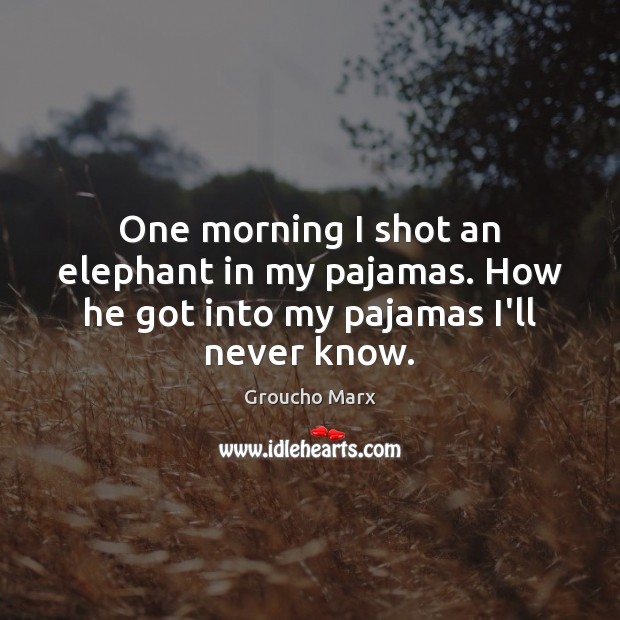 One morning I shot an elephant in my pajamas. How he got into my pajamas I’ll never know. Image