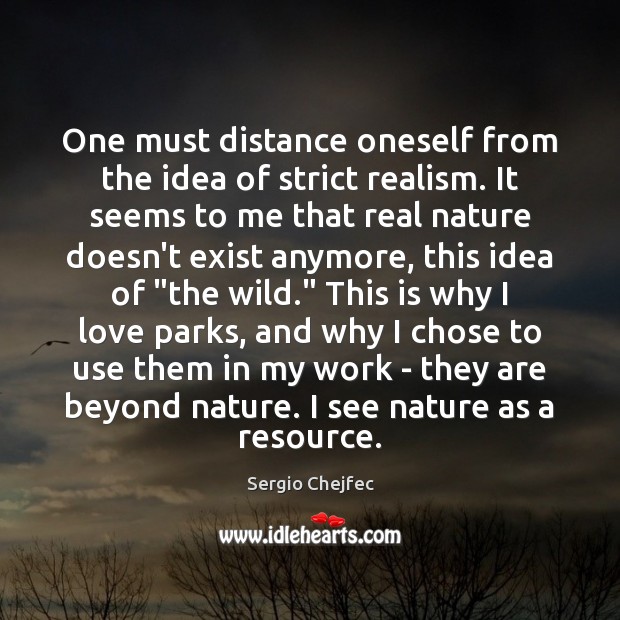 One must distance oneself from the idea of strict realism. It seems Sergio Chejfec Picture Quote