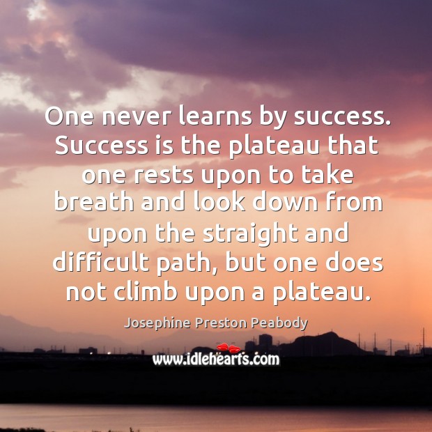 One never learns by success. Success is the plateau that one rests Image