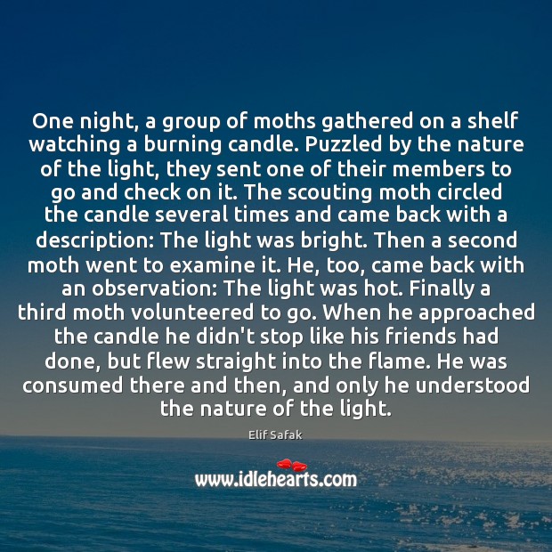 One night, a group of moths gathered on a shelf watching a Elif Safak Picture Quote