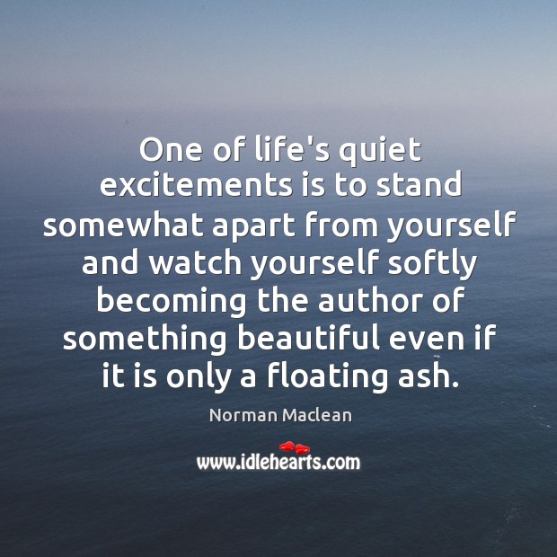 One of life’s quiet excitements is to stand somewhat apart from yourself Image