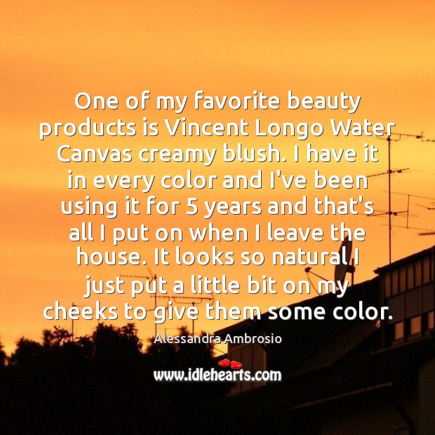 One of my favorite beauty products is Vincent Longo Water Canvas creamy Alessandra Ambrosio Picture Quote