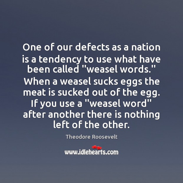 One of our defects as a nation is a tendency to use Theodore Roosevelt Picture Quote