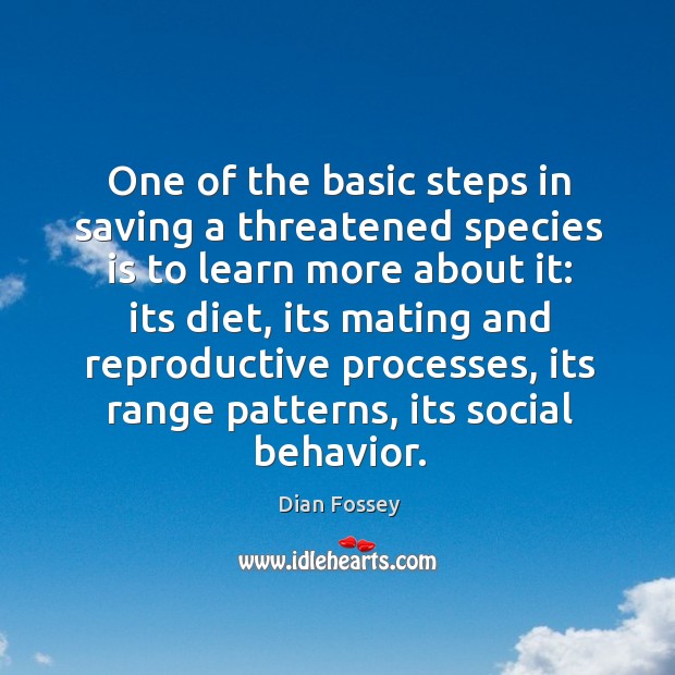 One of the basic steps in saving a threatened species is to Dian Fossey Picture Quote
