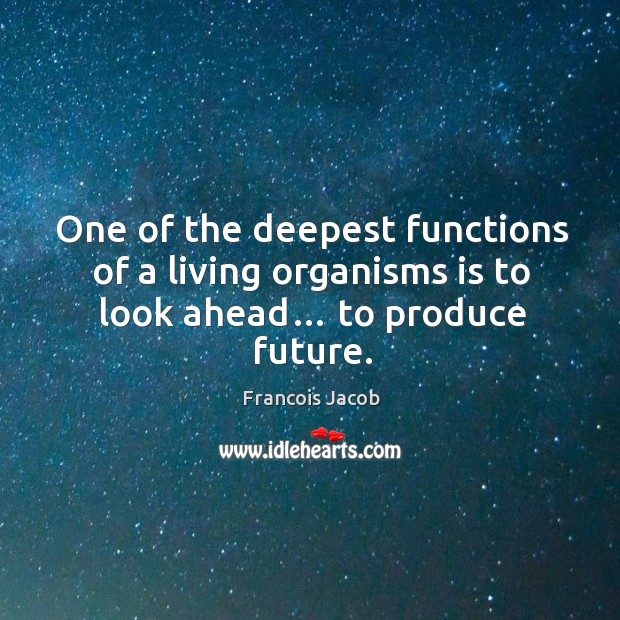One of the deepest functions of a living organisms is to look ahead… to produce future. Image