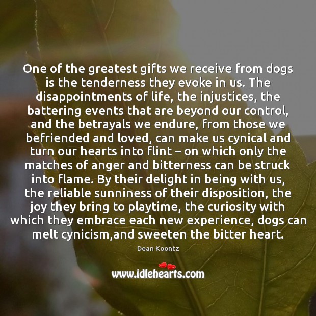 One of the greatest gifts we receive from dogs is the tenderness Image