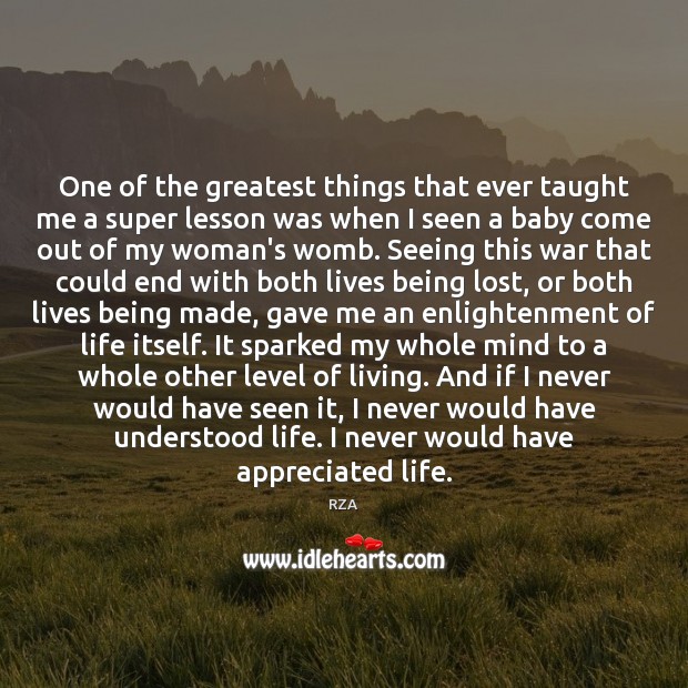 One of the greatest things that ever taught me a super lesson RZA Picture Quote