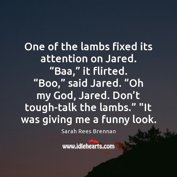 One of the lambs fixed its attention on Jared. “Baa,” it flirted. “ Image