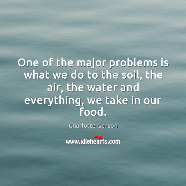 One of the major problems is what we do to the soil, Charlotte Gerson Picture Quote