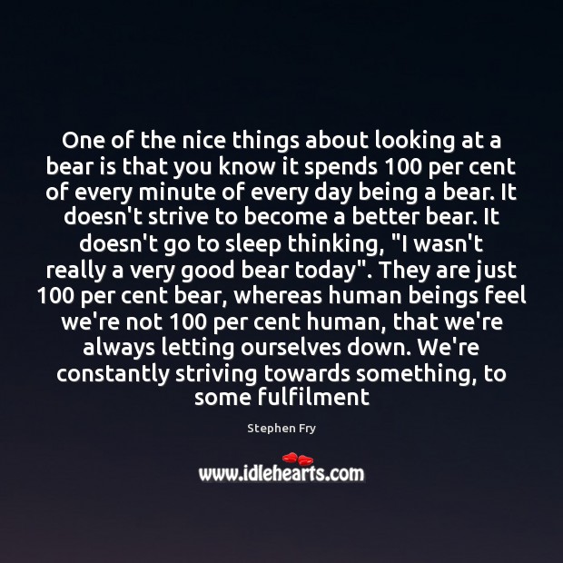 One of the nice things about looking at a bear is that Stephen Fry Picture Quote