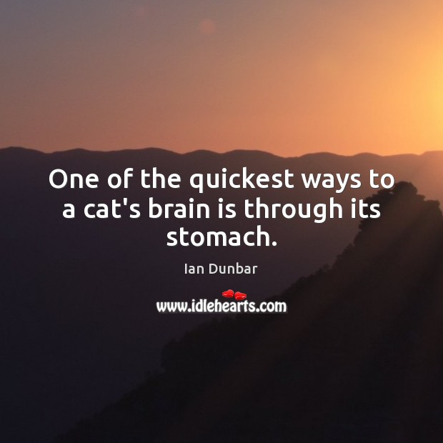One of the quickest ways to a cat’s brain is through its stomach. Ian Dunbar Picture Quote