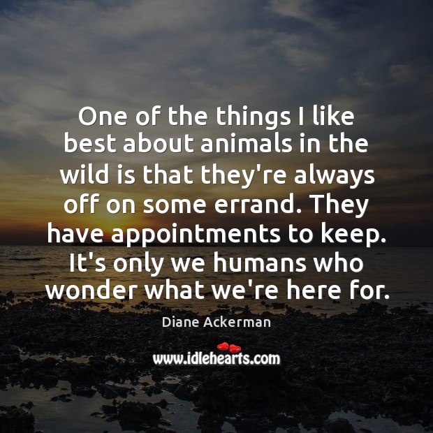 One of the things I like best about animals in the wild Diane Ackerman Picture Quote