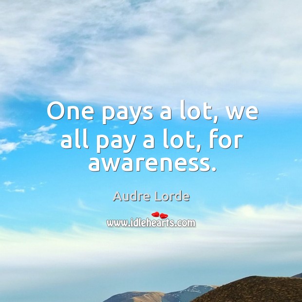 One pays a lot, we all pay a lot, for awareness. Audre Lorde Picture Quote