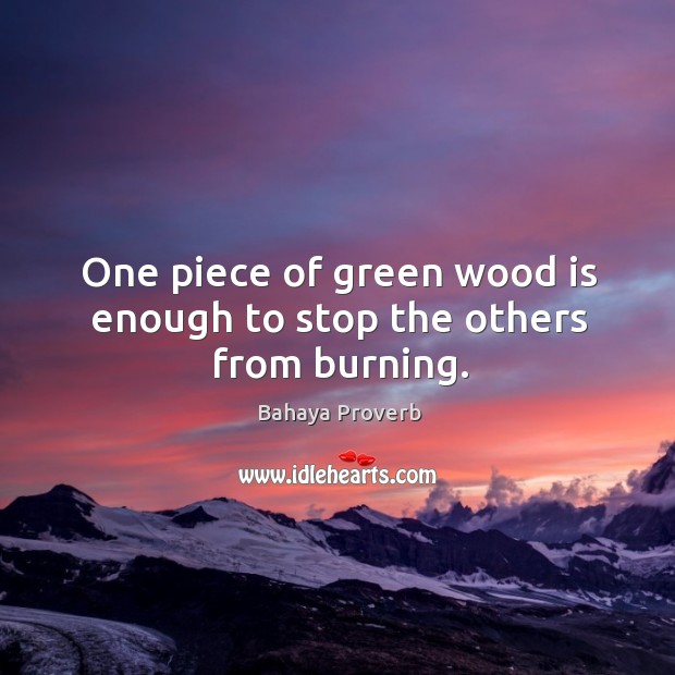 One piece of green wood is enough to stop the others from burning. Bahaya Proverbs Image