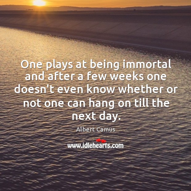 One plays at being immortal and after a few weeks one doesn’t Albert Camus Picture Quote
