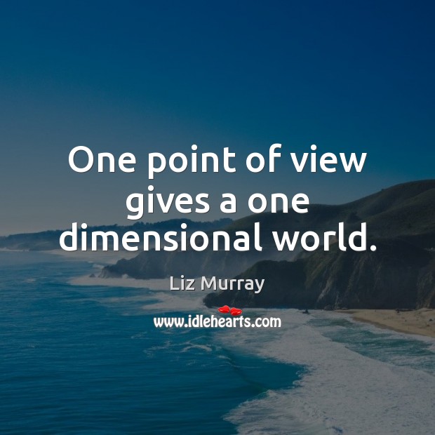 One point of view gives a one dimensional world. Liz Murray Picture Quote