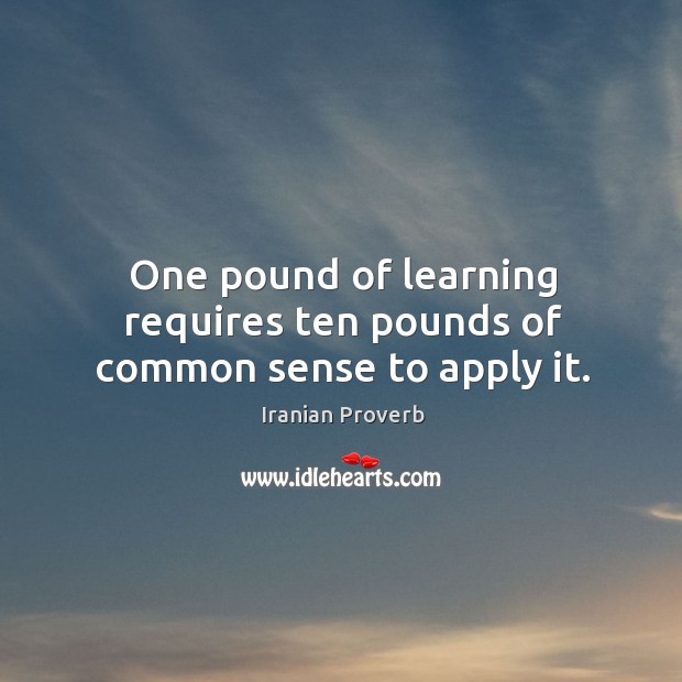 One pound of learning requires ten pounds of common sense to apply it. Image