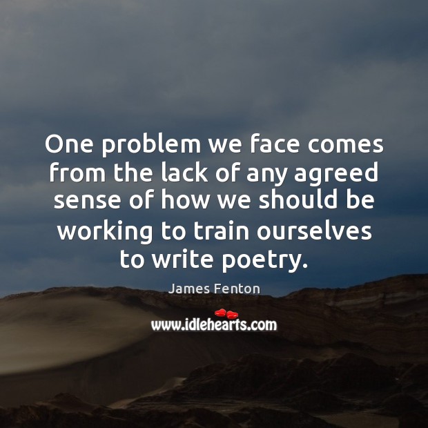 One problem we face comes from the lack of any agreed sense James Fenton Picture Quote