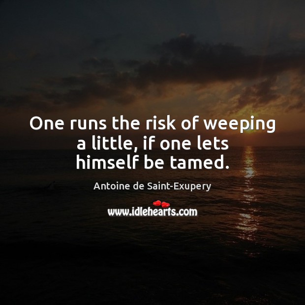 One runs the risk of weeping a little, if one lets himself be tamed. Antoine de Saint-Exupery Picture Quote