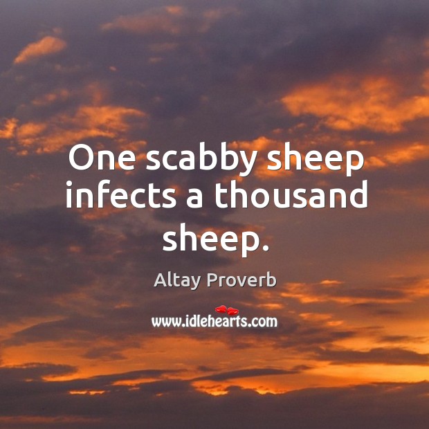 One scabby sheep infects a thousand sheep. Altay Proverbs Image