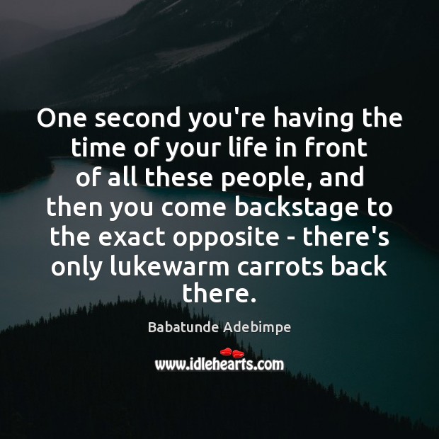 One second you’re having the time of your life in front of Babatunde Adebimpe Picture Quote