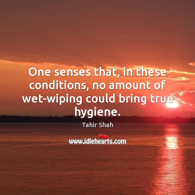 One senses that, in these conditions, no amount of wet-wiping could bring true hygiene. Tahir Shah Picture Quote
