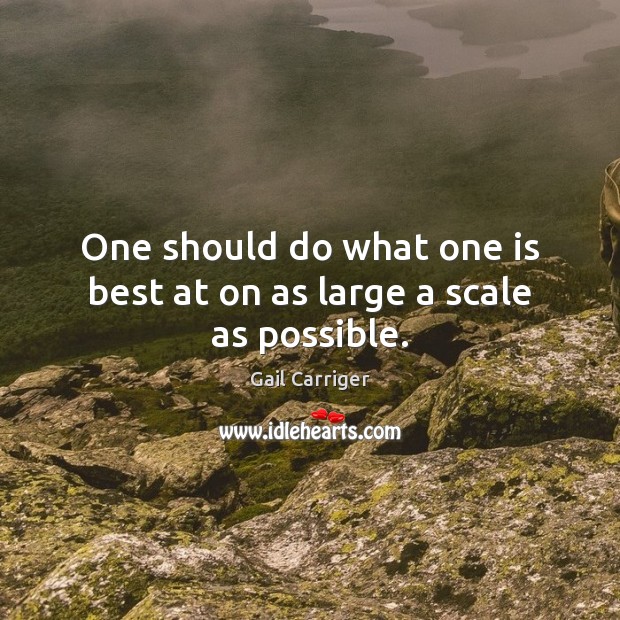 One should do what one is best at on as large a scale as possible. Gail Carriger Picture Quote