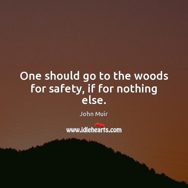 One should go to the woods for safety, if for nothing else. John Muir Picture Quote