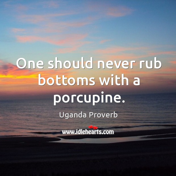 One should never rub bottoms with a porcupine. Uganda Proverbs Image
