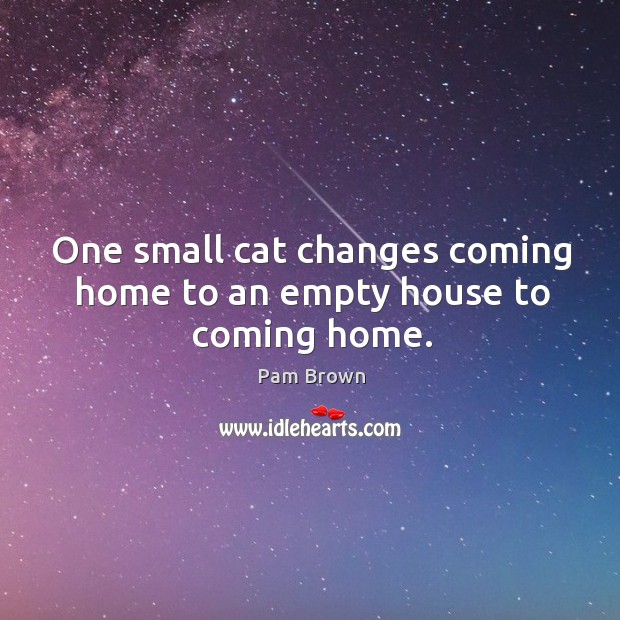 One small cat changes coming home to an empty house to coming home. Pam Brown Picture Quote