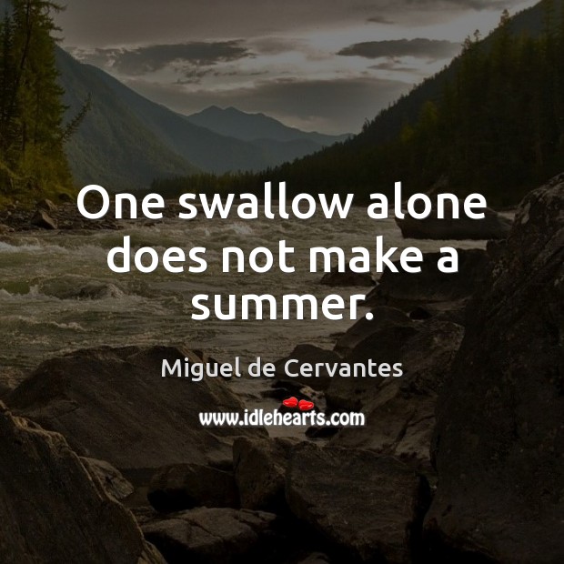 One swallow alone does not make a summer. Miguel de Cervantes Picture Quote