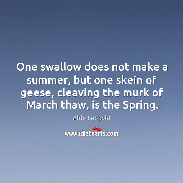 One swallow does not make a summer, but one skein of geese, cleaving the murk of march thaw, is the spring. Aldo Leopold Picture Quote