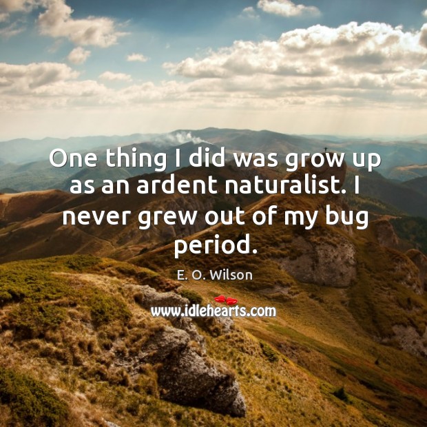 One thing I did was grow up as an ardent naturalist. I never grew out of my bug period. E. O. Wilson Picture Quote