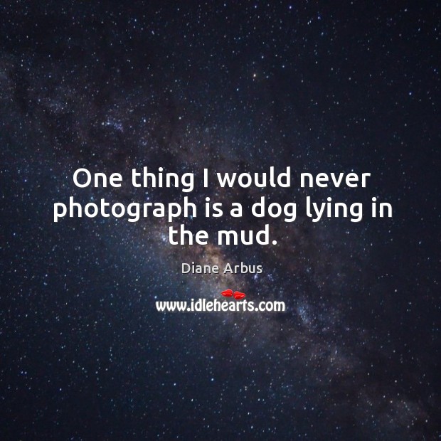 One thing I would never photograph is a dog lying in the mud. Image