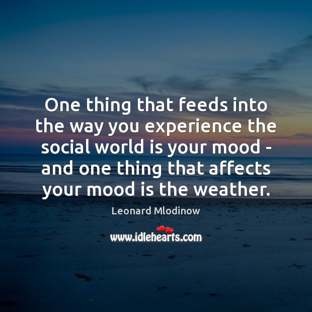 One thing that feeds into the way you experience the social world Leonard Mlodinow Picture Quote