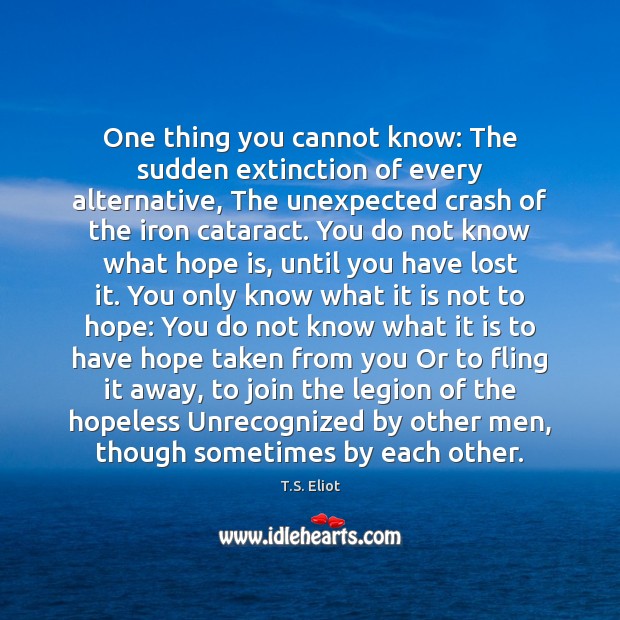 One thing you cannot know: The sudden extinction of every alternative, The Hope Quotes Image