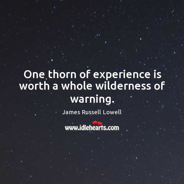 One thorn of experience is worth a whole wilderness of warning. Image
