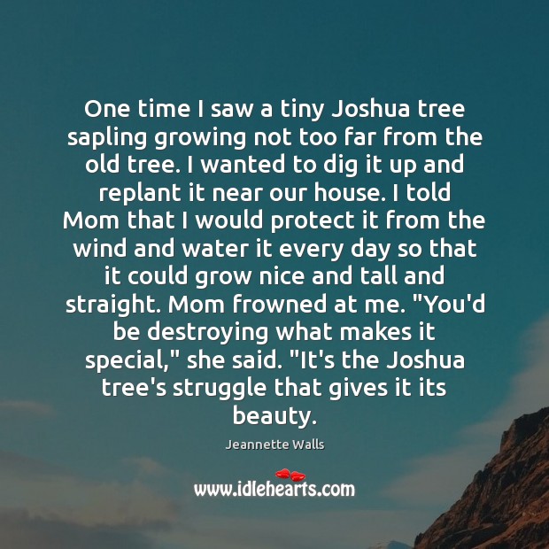 One time I saw a tiny Joshua tree sapling growing not too Jeannette Walls Picture Quote