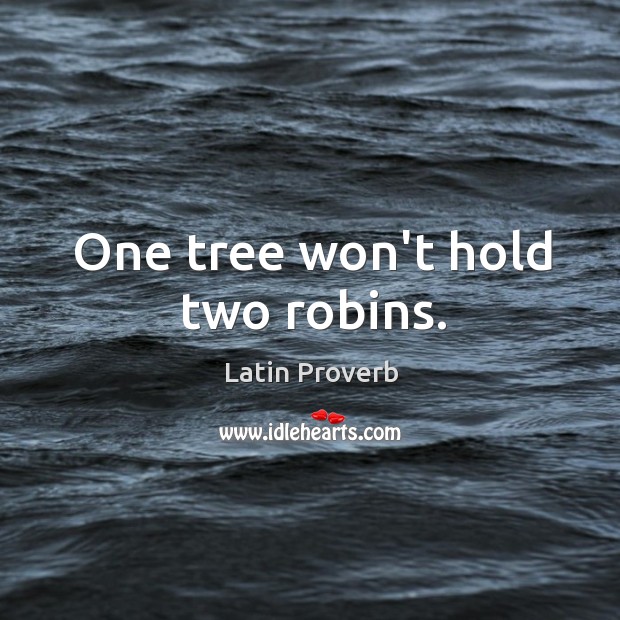 One tree won’t hold two robins. Image