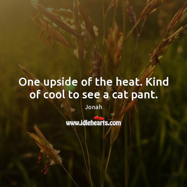 One upside of the heat. Kind of cool to see a cat pant. Jonah Picture Quote
