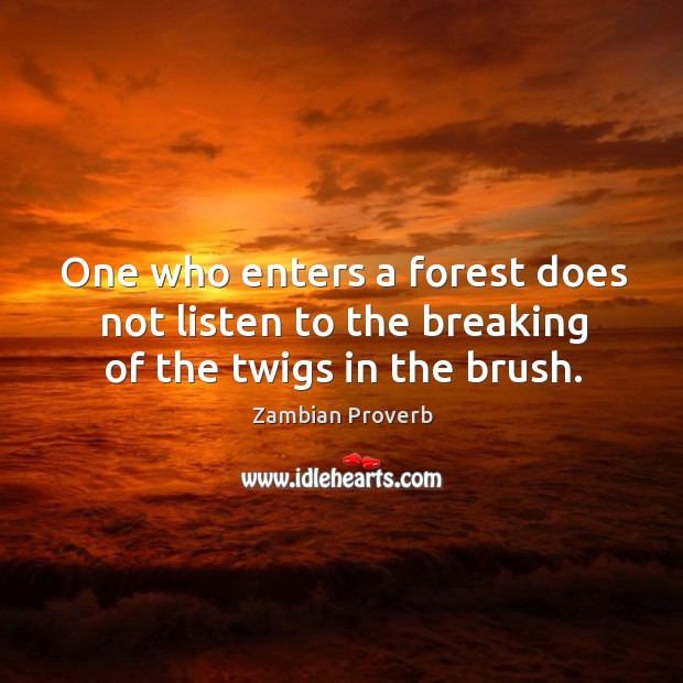One who enters a forest does not listen to the breaking of the twigs in the brush. Zambian Proverbs Image