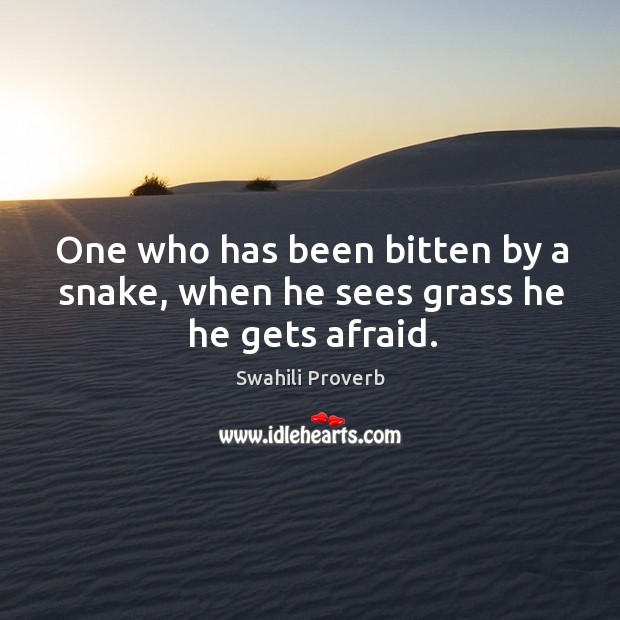 One who has been bitten by a snake, when he sees grass he he gets afraid. Swahili Proverbs Image